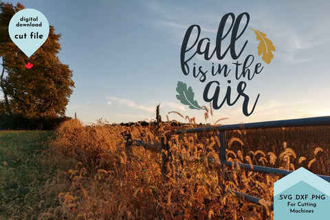 Fall Phrase SVG Cut File - Autumn Decor SVG Lettershapes 