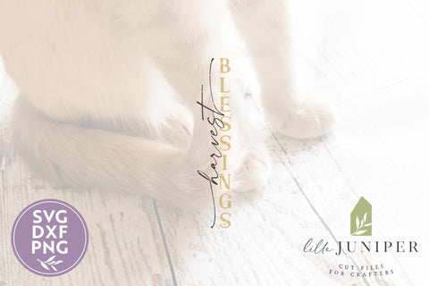 Fall Porch Sign | Harvest Blessings SVG SVG LilleJuniper 