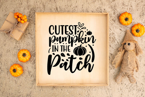 fall quotes svg bundle SVG buydesign 