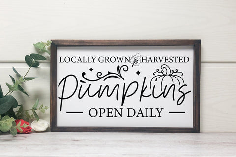 Fall Sign SVG, Locally Grown & Harvested Pumpkins SVG CraftLabSVG 