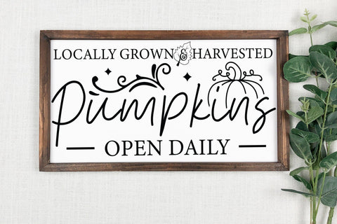 Fall Sign SVG, Locally Grown & Harvested Pumpkins SVG CraftLabSVG 