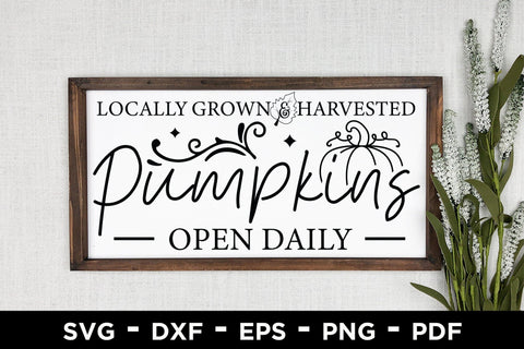Fall Sign SVG, Locally Grown & Harvested Pumpkins SVG CraftLabSVG 