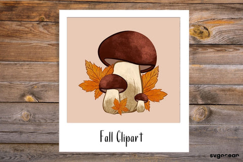 Fall Sublimation Bundle | Autumn Floral | Clipart SVG SvgOcean 