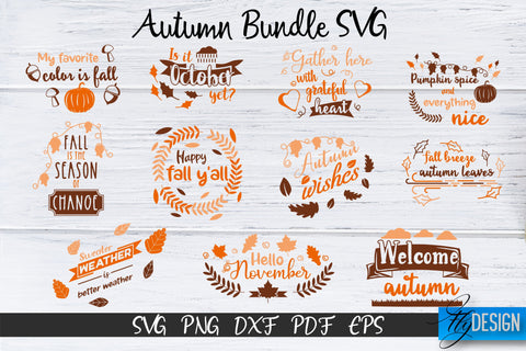 Fall SVG Bundle. Autumn Bundle svg. Fall quotes Designs SVG Fly Design 