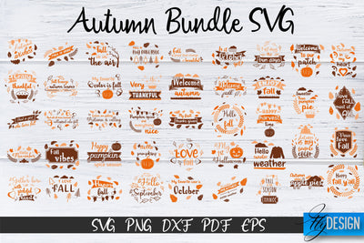 Fall SVG Bundle. Autumn Bundle svg. Fall quotes Designs SVG Fly Design 