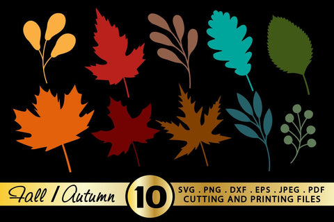 Fall SVG Bundle Fall Leaves SVG PNG EPS DXF Autumn Bundle SVG zoellartz 