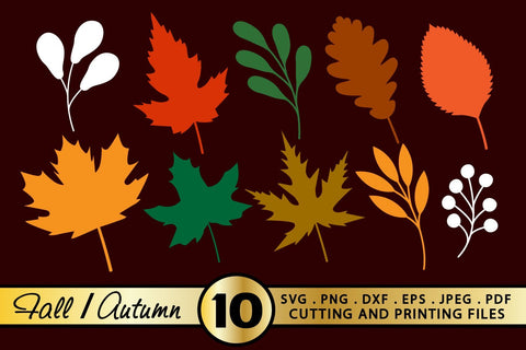 Fall SVG Bundle Fall Leaves SVG PNG EPS DXF Autumn Bundle SVG zoellartz 