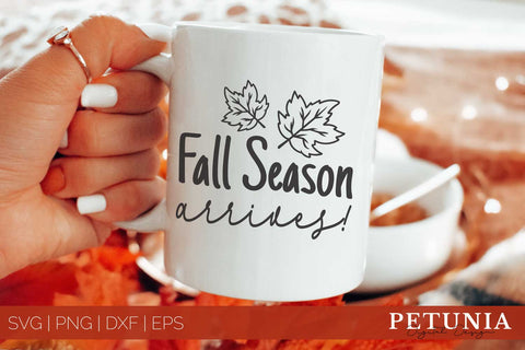Fall SVG Bundle | Pumpkin Spice SVG | Fall SVG SVG Petunia Digital Design 