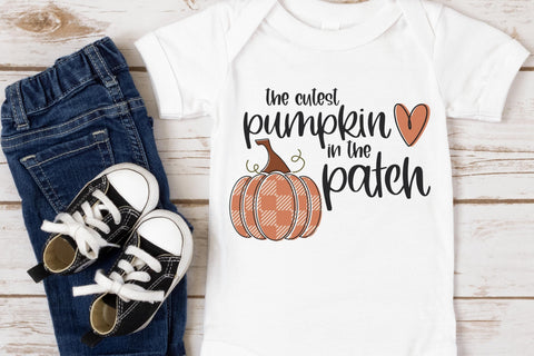 Fall SVG Bundle, Pumpkin SVG, Fall Sublimation for Tumbler Designs, Pumpkin Patch SVG, Hello Fall SVG SVG Designing Digitals 