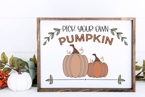 Fall SVG Bundle, Pumpkin SVG, Fall Sublimation for Tumbler Designs, Pumpkin Patch SVG, Hello Fall SVG SVG Designing Digitals 