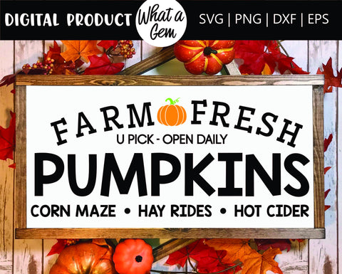 Fall SVG Bundle | Pumpkin SVG | Hello Fall svg | Fall Welcome Sign | Autumn svg | Fall Porch Sign | Thankful SVG | Thanksgiving svg | Decor SVG What A Gem SVG 