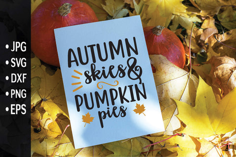 Fall SVG Bundle, Pumpkin svg SVG md faruk hossain 