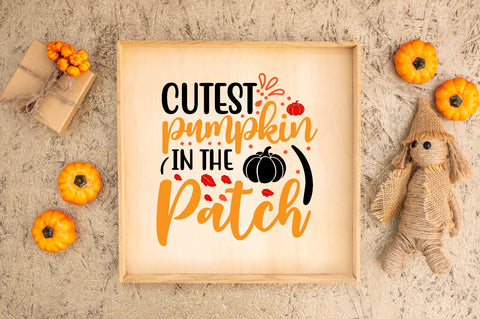 fall svg bundle SVG buydesign 