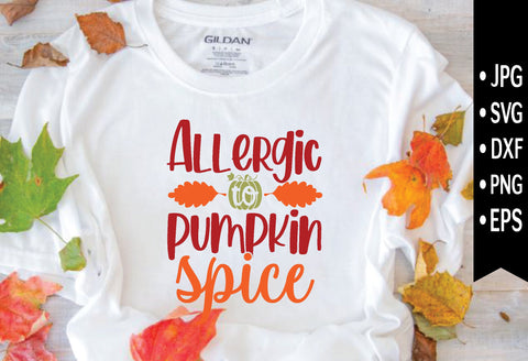 Fall SVG Bundle SVG md faruk hossain 