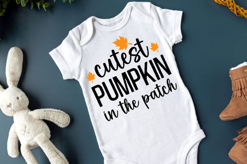 Fall SVG Bundle SVG Regulrcrative 