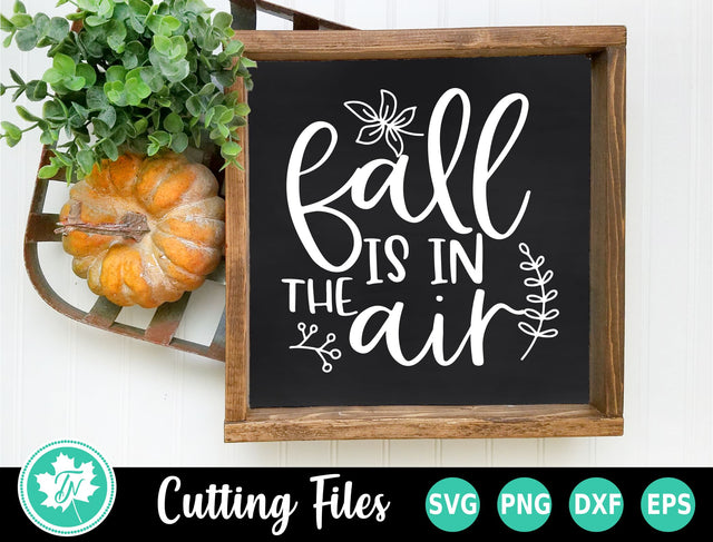 Fall SVG | Fall Sign SVG | Fall is in the Air SVG SVG TrueNorthImagesCA 