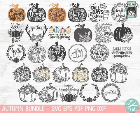 Fall SVG file Bundle, Autumn svg Bundle, Thanksgiving svg bundle, Flower Pumpkin svg, Halloween svg, Floral Pumpkin svg, Fall Sign svg, Book svg SVG Wild Pilot 
