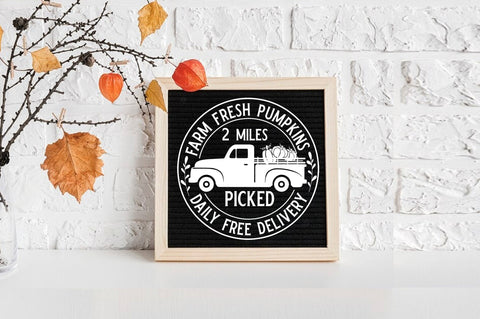 Fall Vintage Sign SVG Bundle, Retro Sign SVG Shetara Begum 