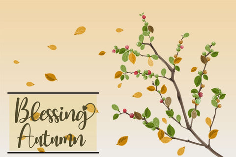 Falling Font Supersemar Letter 