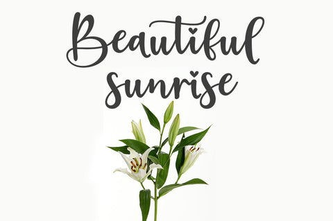 Falling In love Font Studio Natural Ink 