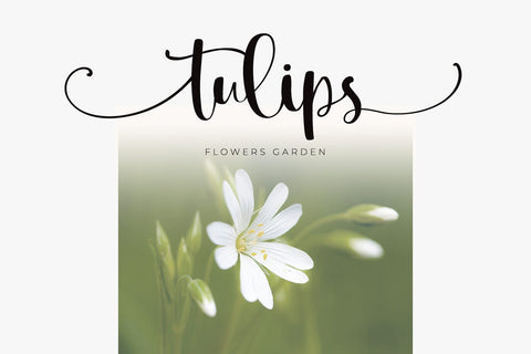 Family Hug Font yumnatype 