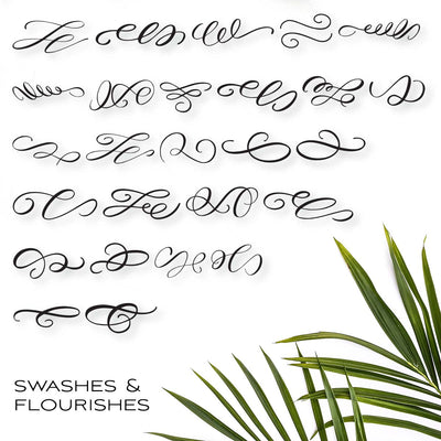 Fancy Calligraphy Flourishes Dingbat Font TTF & OTF Font Maple & Olive Designs 