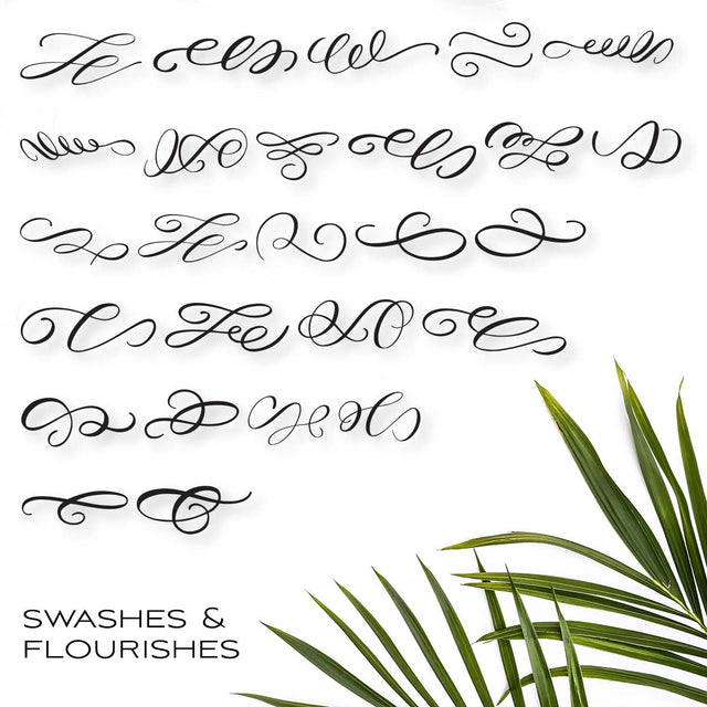 Fancy Calligraphy Flourishes Dingbat Font TTF & OTF Font Maple & Olive Designs 