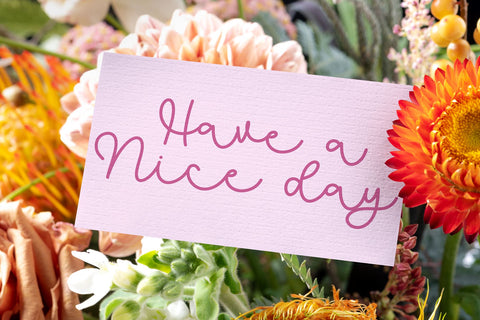 Fancy line - monoline font Font letterbeary 