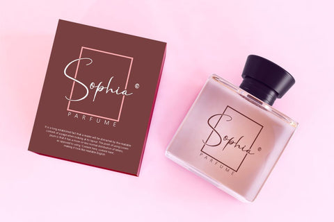 Fanish Elegant Signature Font Font PutraCetol Studio 