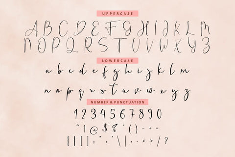 Fanish Elegant Signature Font Font PutraCetol Studio 