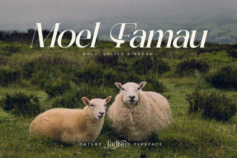 fanlste Typeface Font Storytype Studio 