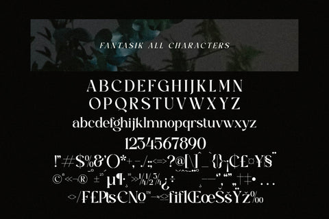 Fantasik Typeface Font Storytype Studio 