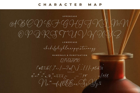 Fanttor Howery Font Duo Font Storytype Studio 