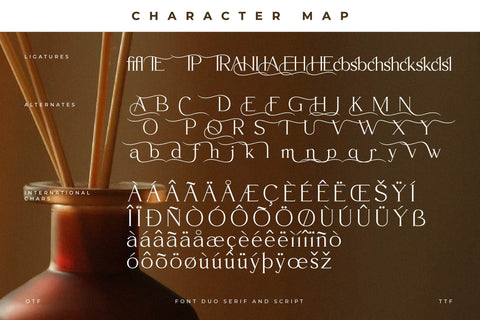 Fanttor Howery Font Duo Font Storytype Studio 