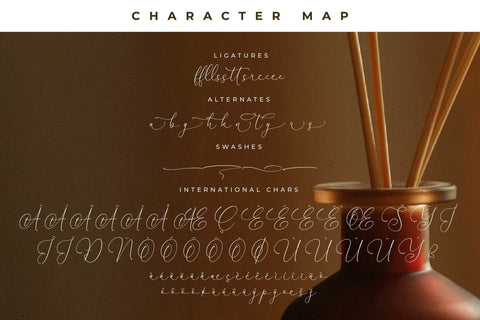 Fanttor Howery Font Duo Font Storytype Studio 