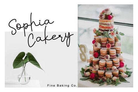 Faritta Font AEN Creative Store 