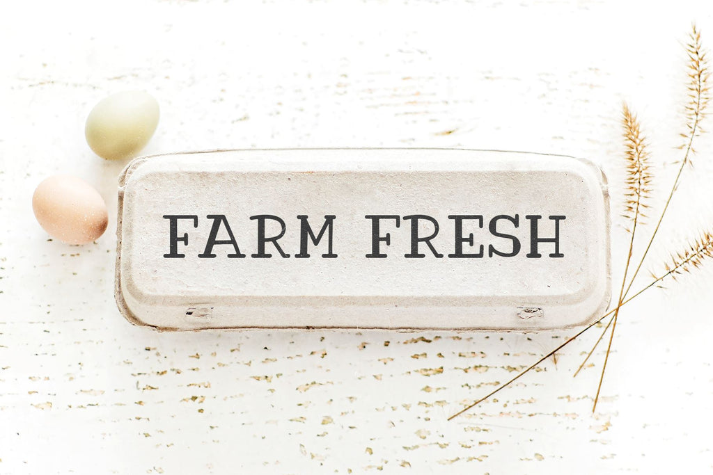 Farm Field - Handwritten Farmhouse Font - So Fontsy