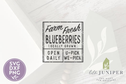 Farm Fresh Blueberries SVG | Spring SVG SVG LilleJuniper 
