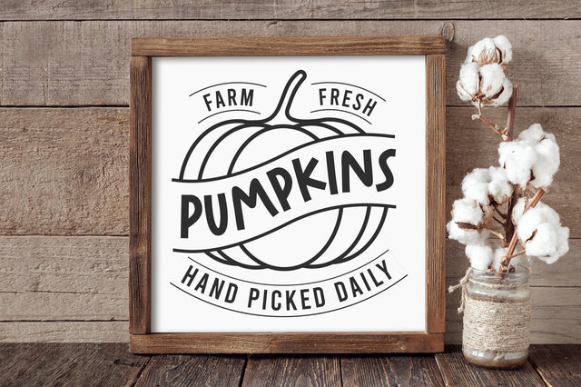 Farm Fresh Harvest Pumpkins Hand Picked Daily Sign SVG PNG SVG futivesvg 