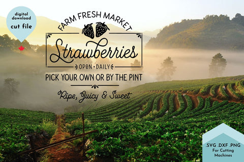 Farm Fresh Market Strawberries - Farmhouse SVG Cut File SVG Lettershapes 