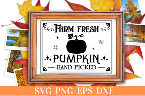 Farm fresh pumpkin hand picked SVG SVG DESIGNISTIC 
