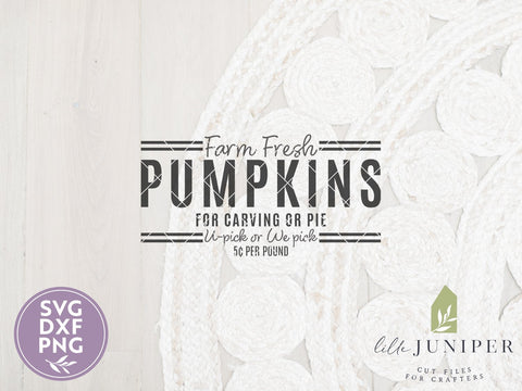 Farm Fresh Pumpkins SVG | Autumn SVG | Farmhouse Sign Design SVG LilleJuniper 