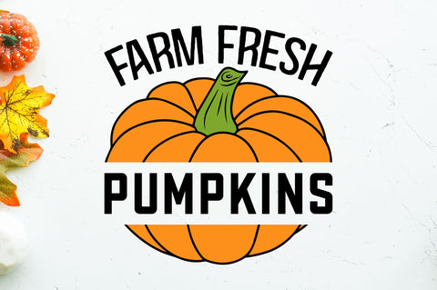 Farm fresh pumpkins SVG SVG Regulrcrative 