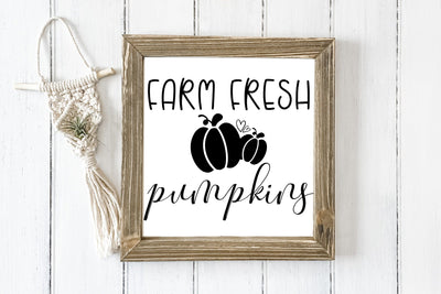 Farm Fresh Pumpkinss SVG SVG dapiyupi store 