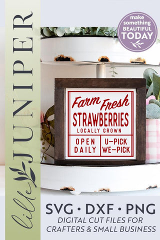 Farm Fresh Strawberries SVG | Summer SVG SVG LilleJuniper 