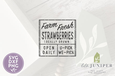 Farm Fresh Strawberries SVG | Summer SVG SVG LilleJuniper 