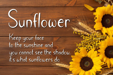 Farmerhouse Font Abo Daniel Studio 