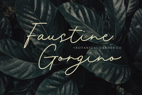 Farmhomes Font Allouse.Studio 