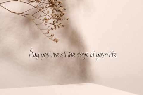 Farmhouse Font Cotton White Studio 