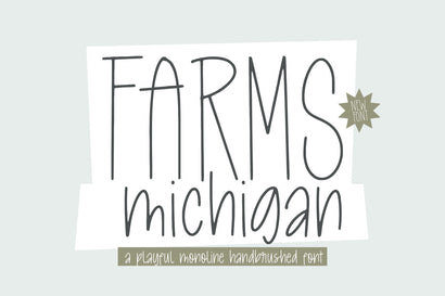 Farms Michigan Playful Monoline Font Balpirick 